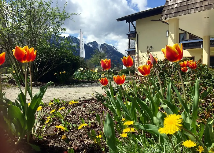 Wiesgauer - Alpenhotel