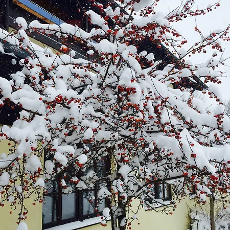 Hotel Wiesgauer - Alpenhotel 4*