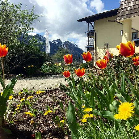 Wiesgauer - Alpenhotel