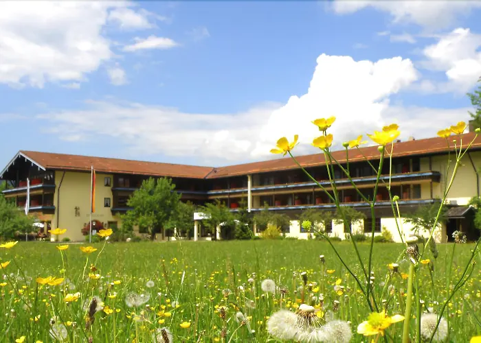 Hotel Wiesgauer - Alpenhotel