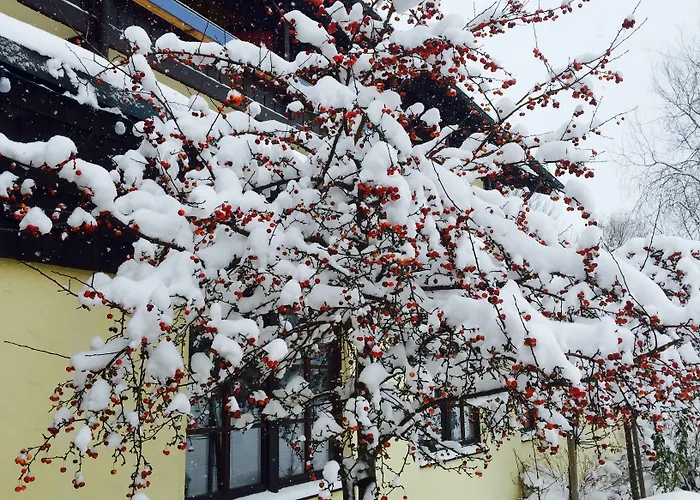 Hotel Wiesgauer - Alpenhotel 4*